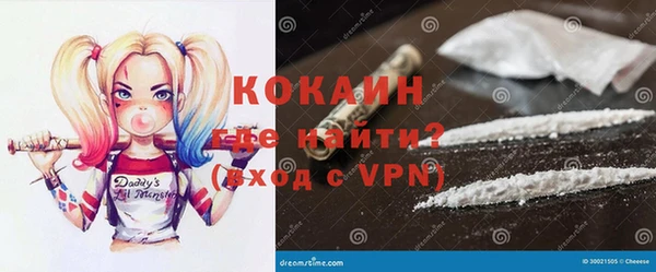 ГАЛЛЮЦИНОГЕННЫЕ ГРИБЫ Ельня