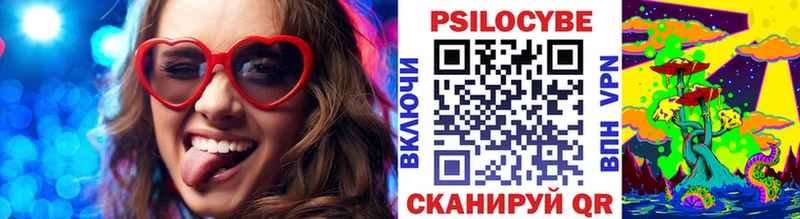 Купить закладки  Нижнекамск  Галлюциногенные грибы мицелий 