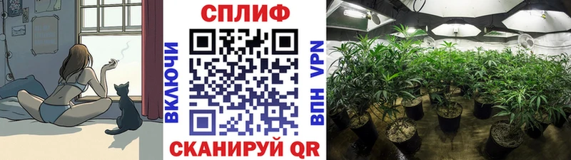 Купить закладки  Нижнекамск  Канабис тримм 